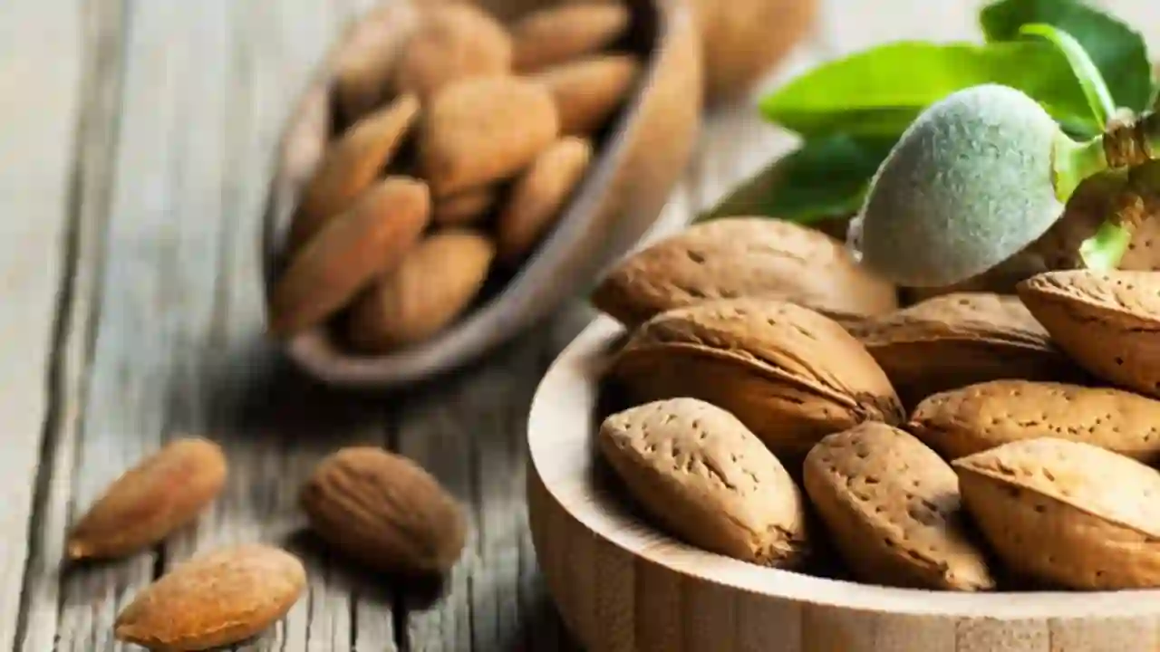 https://www.mobilemasala.com/health-hi/Including-a-handful-of-almonds-in-the-diet-is-a-smart-option-you-also-know-hi-i208616