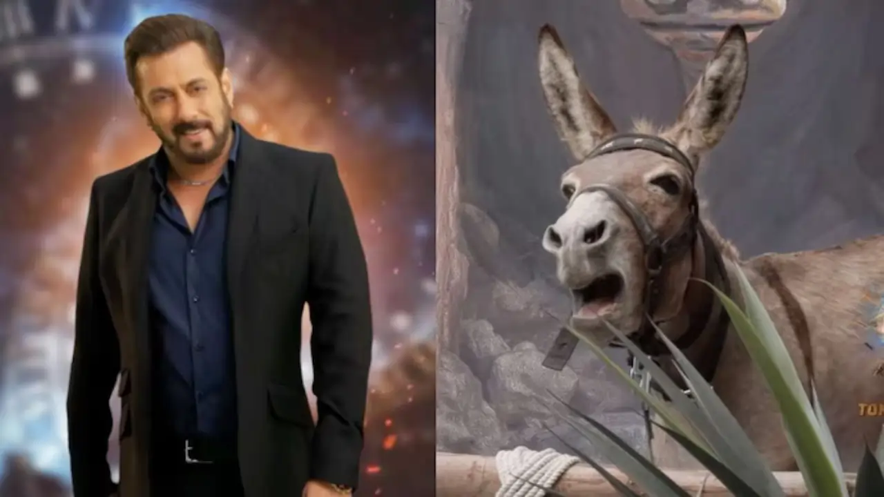 Donkey is also a contestant in 'Bigg Boss'...