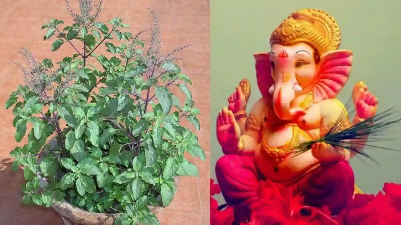 https://www.mobilemasala.com/features-hi/Dont-forget-to-offer-this-one-thing-to-Lord-Ganesha-read-the-mythological-story-behind-it-hi-i296928